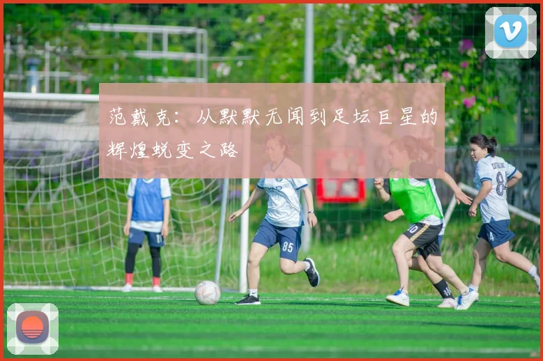 范戴克：从默默无闻到足坛巨星的辉煌蜕变之路