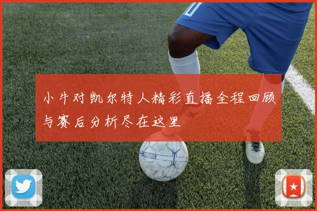 小牛对凯尔特人精彩直播全程回顾与赛后分析尽在这里