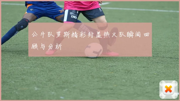 公牛队罗斯精彩封盖热火队瞬间回顾与分析