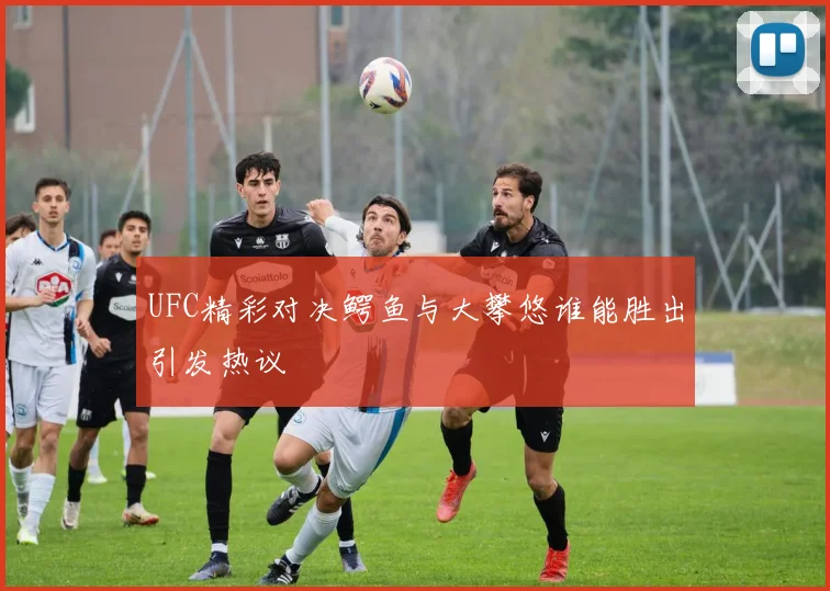 UFC精彩对决鳄鱼与大攀悠谁能胜出引发热议